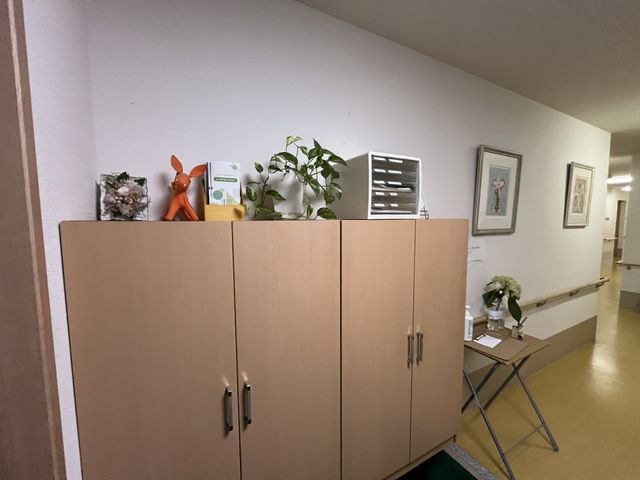 装飾がある廊下 廊下 植物やアート作品が廊下に飾られており、明るい印象を与えます。リラックスできる空間です。