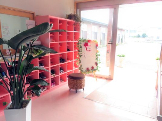 エントランスの観葉植物