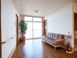 明るい廊下の植物とベンチ