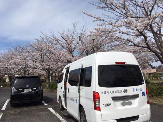 送迎車と桜並木の外観  