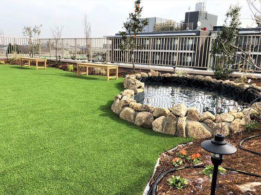 緑豊かな中庭の風景