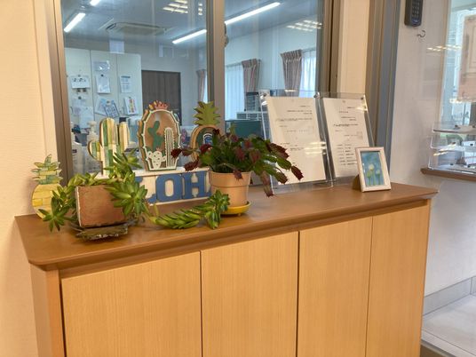 アクセント植物のあるフロント