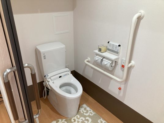 手すり付きの清潔なトイレ