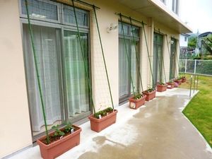 中庭に面したテラス  