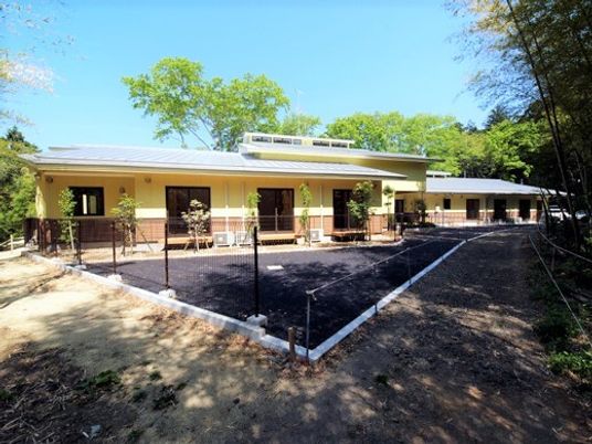緑に囲まれた建物全景