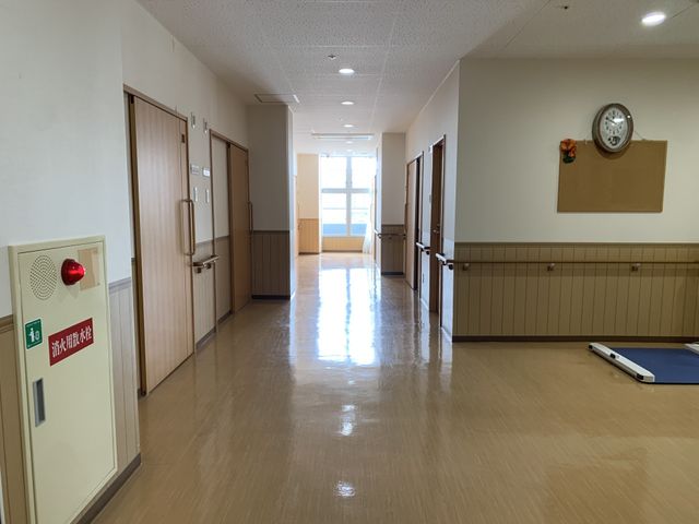 清潔感のある廊下の様子 廊下 ゆったりとした廊下があり、陽の光が差し込む快適な空間が広がっています。