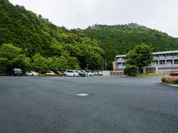 駐車スペースと緑の風景