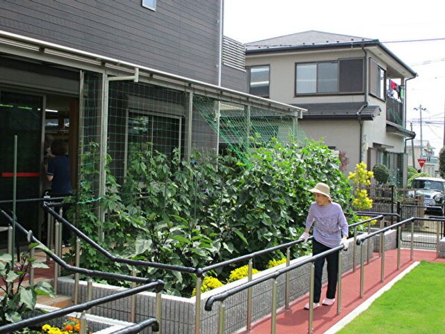 緑豊かな中庭 清々しい空気の中、中庭でゆったりと散策を楽しむ方々の姿があります。手すり沿いに歩くことで、安全に日々の運動を行えます。