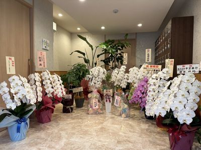 明るく清潔感のある受付ロビー