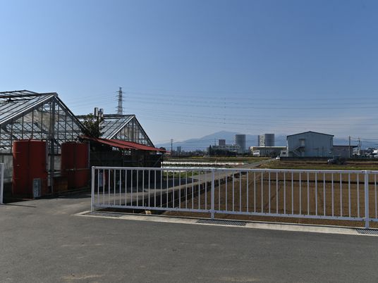 広い空間の緑化エリア