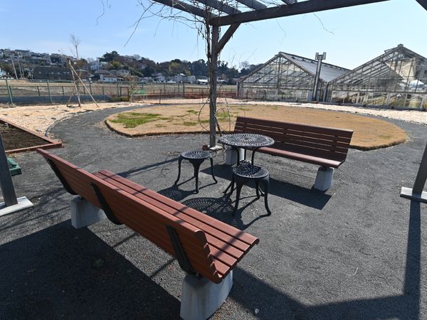 中庭のベンチとテーブル