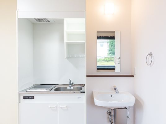 清潔な洗面台とキッチン