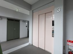 清潔な廊下とエレベーター