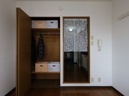 整理された洋室のクローゼット