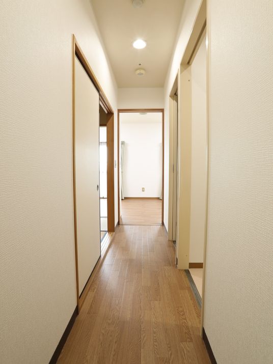 清潔な室内の廊下