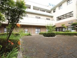 緑豊かな中庭の風景
