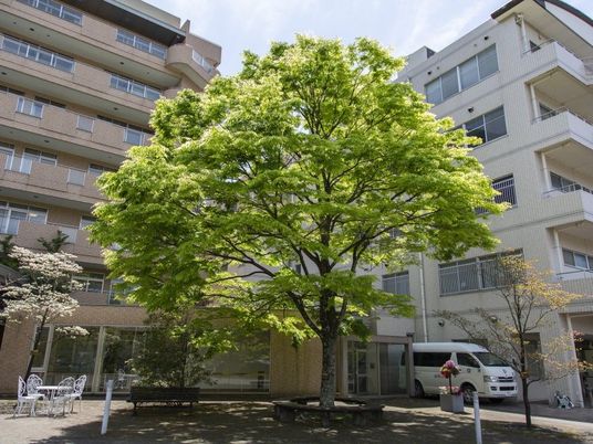 中庭のある建物外観  