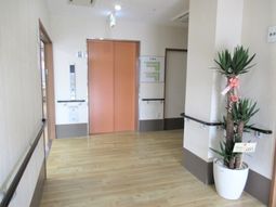 きれいな廊下と植物