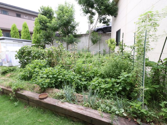 緑豊かな庭の景色 自家菜園 緑溢れる庭では、季節の変化を感じながら穏やかな時間を過ごすことができます。自然と触れ合い、心身ともにリフレッシュできる空間です。