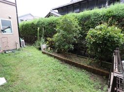 緑豊かな庭の風景
