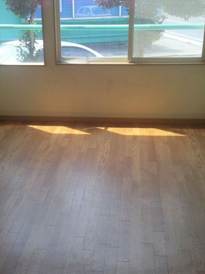 窓明りの差し込む廊下