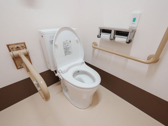 安全な設備のトイレ