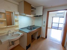 清潔なキッチンと洗面台