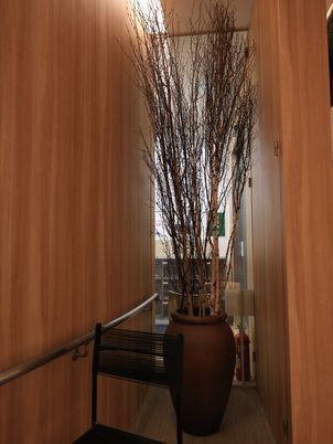 廊下に置かれた大きな鉢植え 