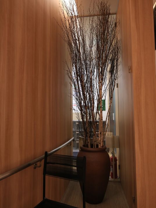 廊下に置かれた大きな鉢植え 