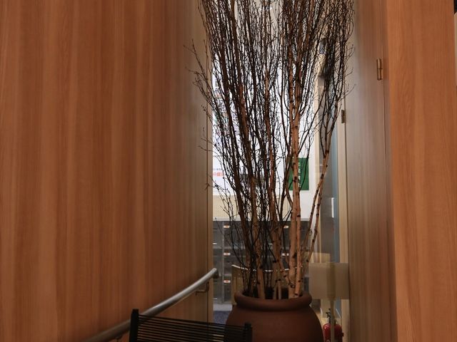 廊下に置かれた大きな鉢植え 共有スペース 柔らかい光が差し込む廊下には、大きな鉢植えが置かれており、落ち着きのある雰囲気を感じさせます。