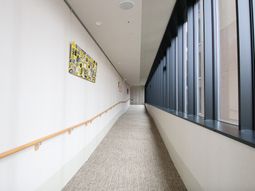 廊下と掲示物