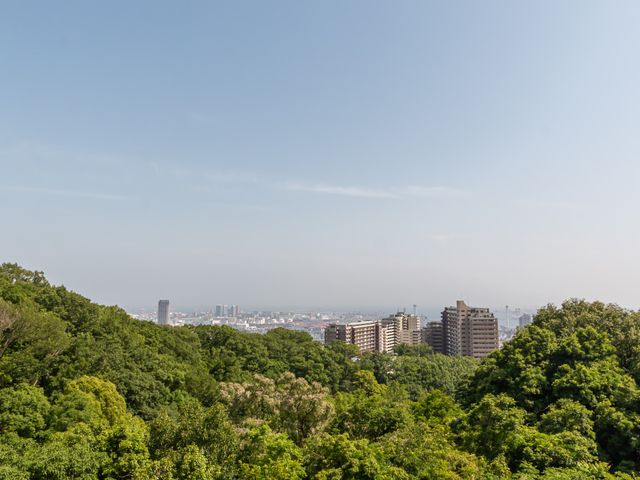 展望風景のラウンジ ラウンジ 広がる自然を眺めながら、リラックスするのに最適な空間です。眼下には緑豊かな風景が広がっています。