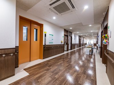 清潔な廊下とドア