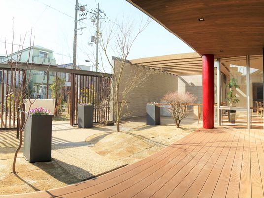 中庭の明るい景色