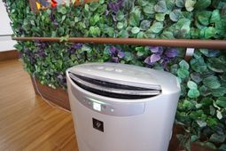 清潔な空気清浄機と観葉植物