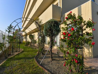 花壇と建物の外観