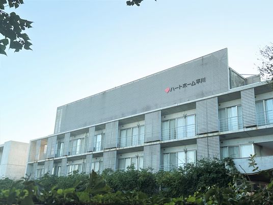 緑に囲まれた建物