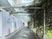 緑が広がる通路