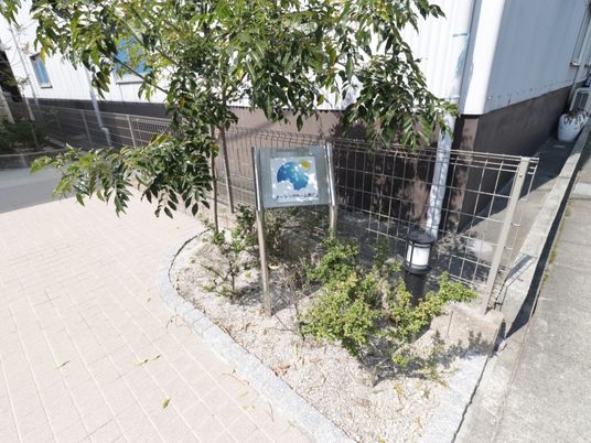 中庭の緑と看板