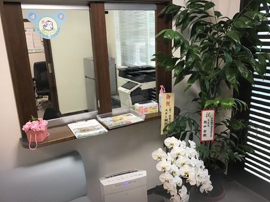 案内所の観葉植物と装飾