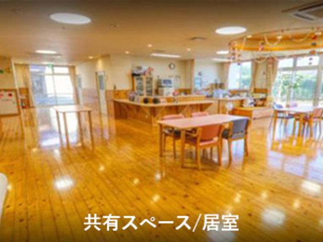 自然光あふれる居室 居室 広々としたスペースで、自然光が豊かに差し込む明るい部屋です。リラックスした時間を過ごせます。
