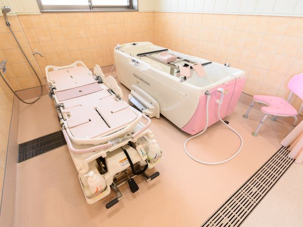清潔な機能浴室