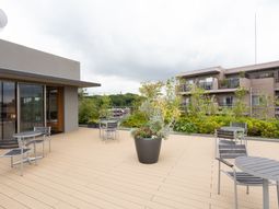 テラスと植物の景色