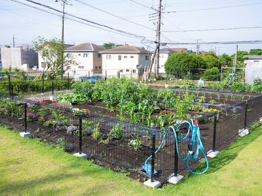 手入れされた緑豊かな庭