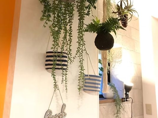 観葉植物が飾られた壁