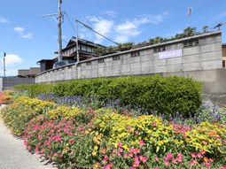 多彩な庭と建物外観