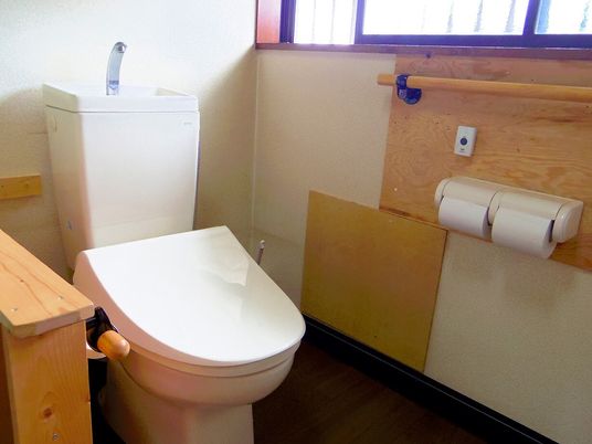 手すりがついたトイレの様子。シンプルな作りのトイレに立ち上がりの補助がついている