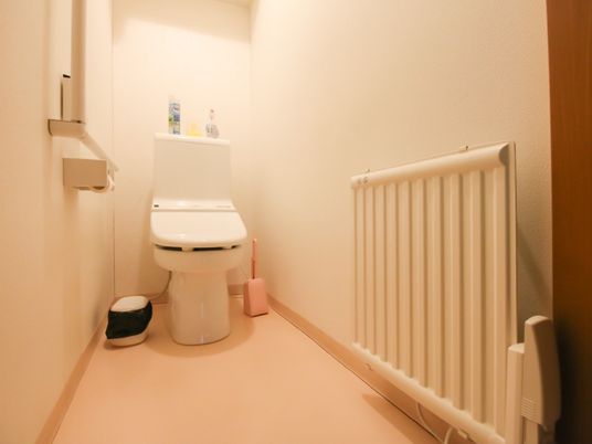 清潔なトイレの角度