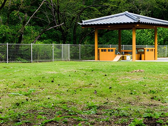 緑豊かな庭園