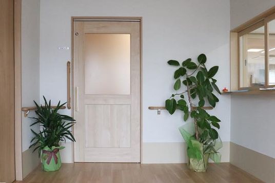 入口と観葉植物の廊下